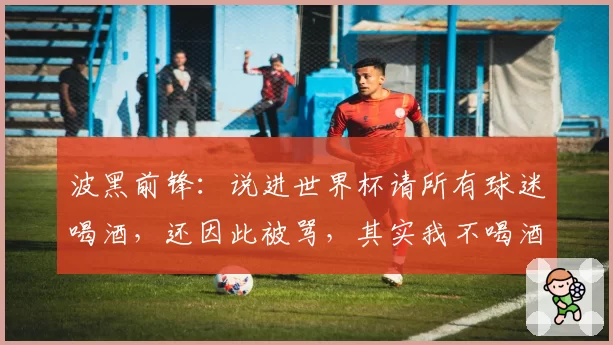 波黑前锋:说进世界杯请所有球迷喝酒,还因此被骂,其实我不喝酒