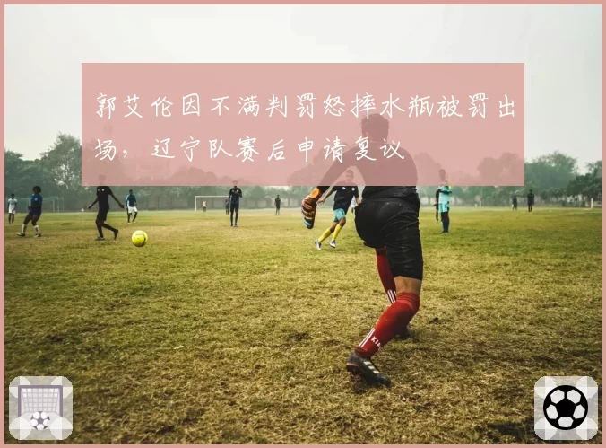 郭艾伦因不满判罚怒摔水瓶被罚出场，辽宁队赛后申请复议
