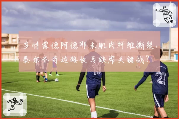多特蒙德阿德耶米肌肉纤维撕裂，泰尔齐奇边路快马缺席关键战？