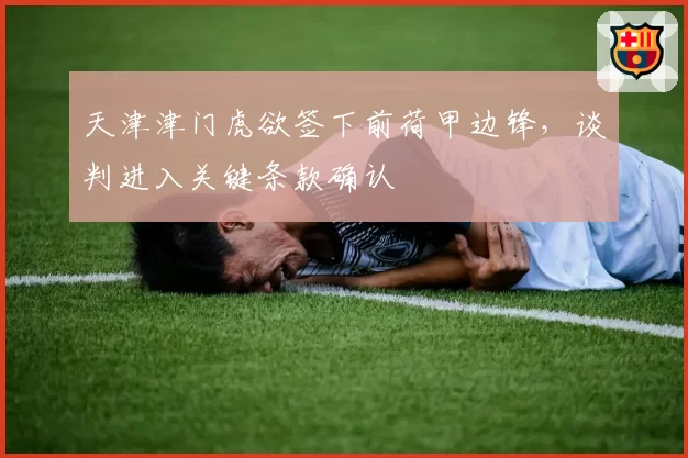 天津津门虎欲签下前荷甲边锋,谈判进入关键条款确认